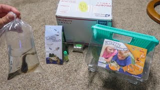 *NEW* BULLFROG TADPOLE AQUARIUM KIT!!!