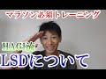 HAGI流LSDについて! マラソン必須とレーニング 【Long Slow Distance】