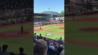 DJD by DGD! Daniel Jackson Dinger by Dang Good Dawg! #feedthetrees 💣⚾️🌲