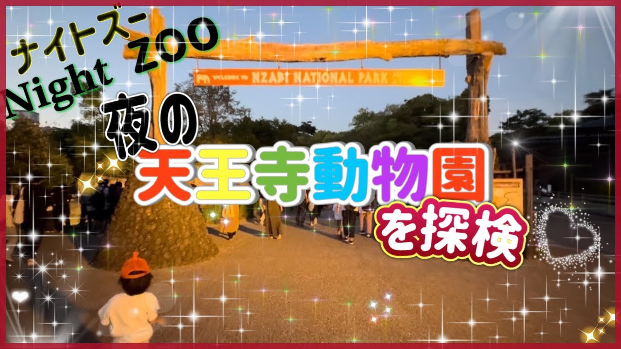 【天王寺動物園ナイトズー体験記】普段と違う動物園で子供が夜でも楽しめる 見逃せない土日夏限定のナイトZOO ☾ - YouTube