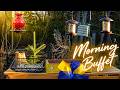 Buffet Daylight Hours 🌞🐿️🐦 | Morning Refill &amp; Wildlife Arrivals | Live Bird Feeder Cam | Pet TV