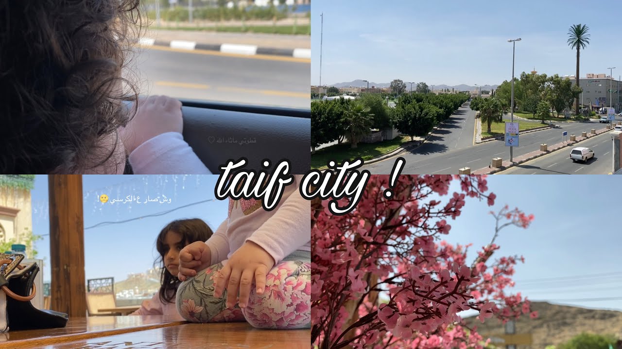 أفضل الاماكن بمدينة الطائف 2🌸!