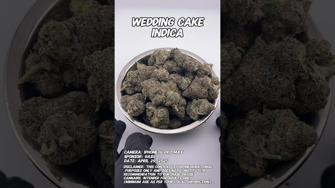 Wedding Cake | Gasu Sponsored | Strain Spotlight