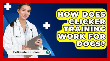 How Does Clicker Training Work for Dogs? - PetGuide360.com