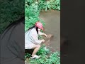 #koifish #kuramayama kyoto #asmr#shorts #viralvideo