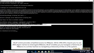 How to connect to WLST in interactive mode on Oracle Weblogic Server 11g (10.3.6)
