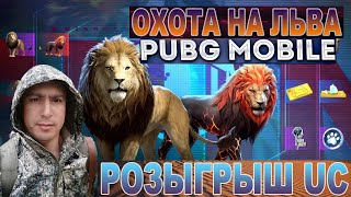 Новый кейс со львом в pubg mobile / Розыгрыш UC #pubgmobile #пабгмобайл #pubg #пабг