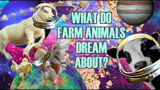 WHAT DO FARM ANIMALS DREAM ABOUT??