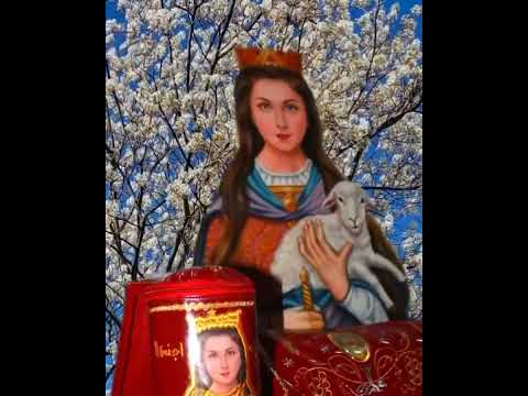 الرسالة دي ليك من سريعة الاستجابة الشهيدة اجنس العجائبية