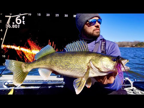 Finding Pre Spawn Walleyes with Garmin Livescope! (FOX RIVER)