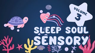 Soothing Sensory Video for Babies - Sleep Soul (Volume 3) - Soothing Quiet Moments