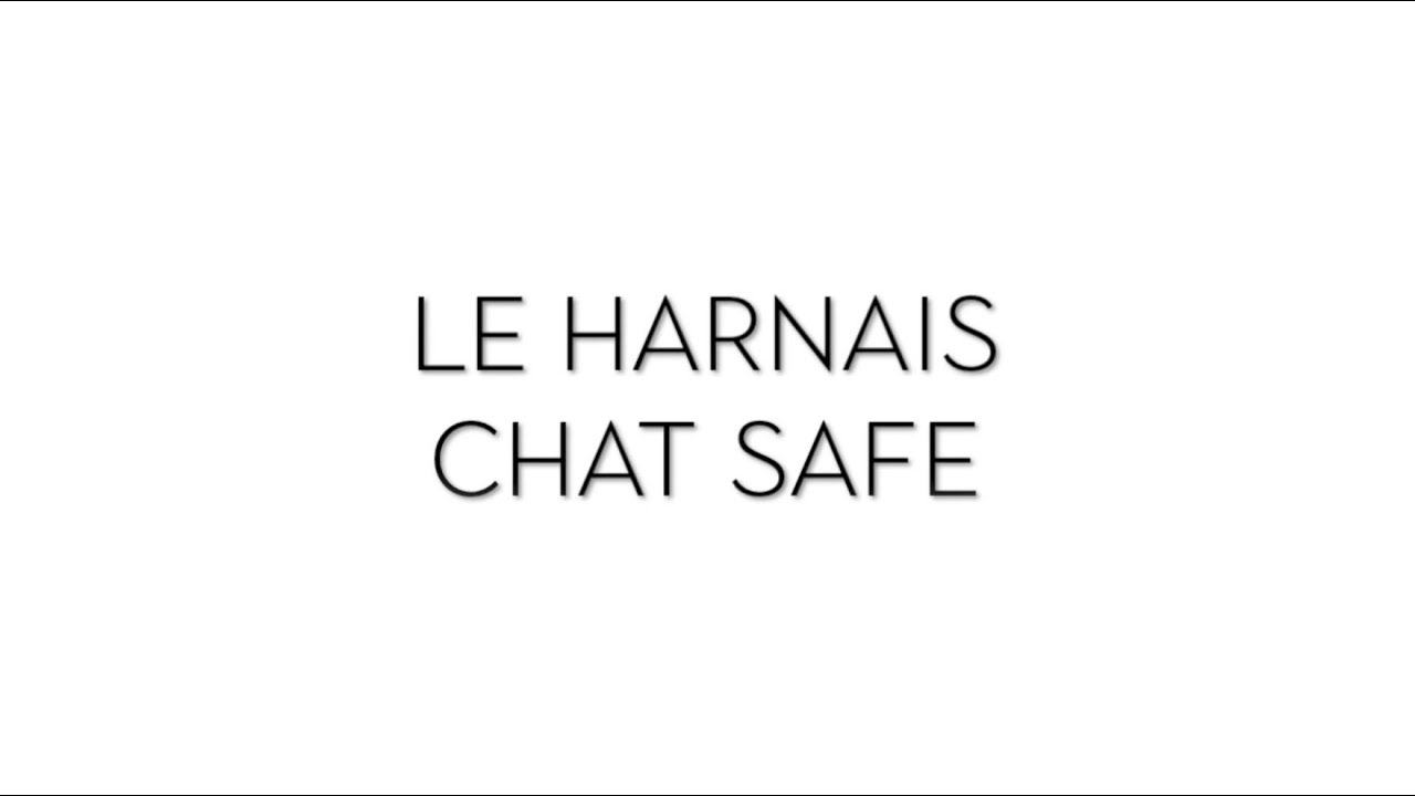 Harnais Laisse Chat Safe Nylon Bobby Accessoires Pour Chien Et Chat Colliers Manteaux Pulls Harnais Laisse Chat Safe Nylon Bobby Accessoires Pour Chien Et Chat Colliers Manteaux Pulls