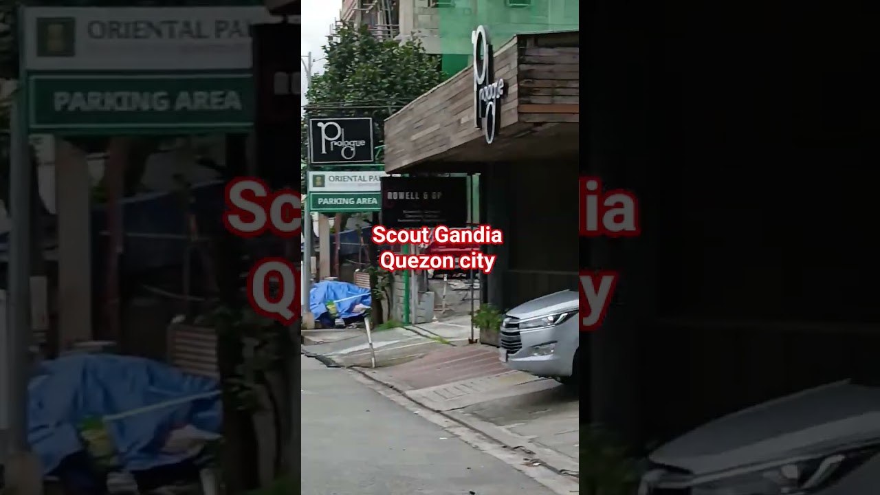 Scout gandia QC 