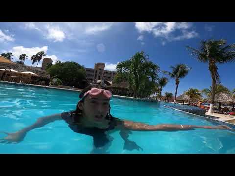 CRAPS STRATEGY :: The Retirement Plan/LITD Batman
