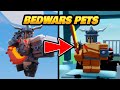 Made a BedWars Pet in Adopt Pets
