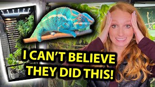 Reviewing my follower's chameleon enclosures!! by Neptune the Chameleon 6,403 views 4 months ago 44 minutes