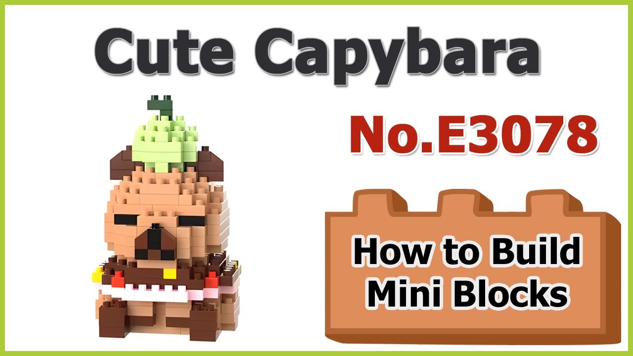 How to Build Mini Blocks Capybara E3078 Review Instructions Specifications