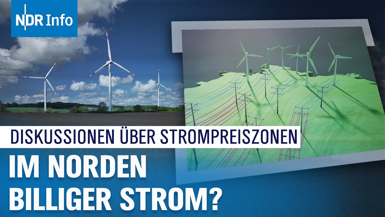 Fairer Strompreis? Diskussion um Strompreiszonen in Deutschland | Panorama 3