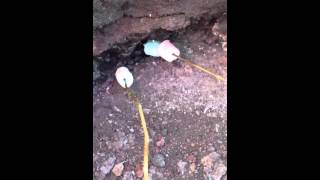 Asando bombones en el volcán de Guatemala