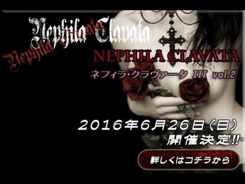 16年06月26日 Nephila Clavata Iii Vol 2 Ludlow Castle Project ルドロウって何