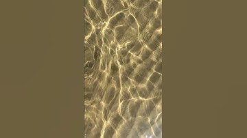 Sunlight through the water: Sound DOWN and LOOP ON!