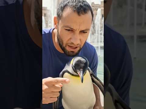 أتيت ببطريق إلى بلاد العرب فأثار البلبله بين الناس 