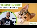 Working Together for Cats | THRIVE INSIDE ft Sterling “TrapKing” Davis