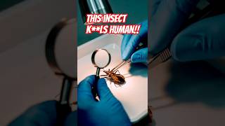Kissing Bugs truths and Chagas Disease!