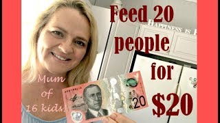 FEED 20 PEOPLE FOR $20 - Large Family cooking on a budget