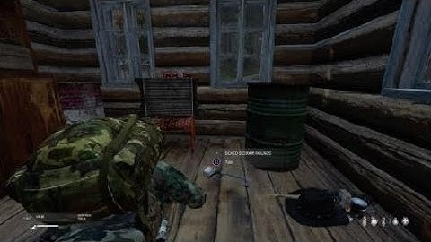 DayZ traitor