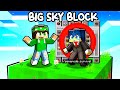 HO FINALMENTE TOLTO LA CREATIVA A STEF! - MINECRAFT BIG SKYBLOCK