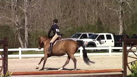 Video of SPIN OFF ridden by MARGARET WEAVER from S...
