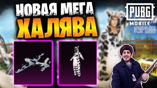 Новая МЕГА ХАЛЯВА в ПУБГ мобайл | ПОСТОЯННЫЕ НАГРАДЫ БЕСПЛАТНО в PUBG mobile