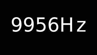 Speaker Sound Test 9956Hz | Speaker cleaner sound