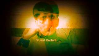 vusal kederli can ay brat+~r&studio Resimi