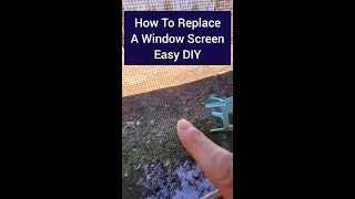 How to repair a damaged window screen, easy DIY you can do this weekend