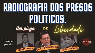 UM PINGO DE LIBERDADE ESPECIAL - RADIOGRAFIA ATUALIZADA DOS PRESOS POLÍTICOS NO BRASIL