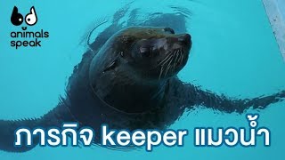 Animals Speak กับภารกิจ keeper แมวน้ำ : Animals Speak [by Mahidol]