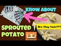 Is Eating Potato Sprouts Toxic? We Put Them Under the Microscope