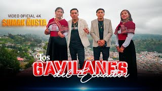 Sumak Ñusta - Los Gavilanes Del Ecuador - Vacilemos En Carnaval Video Oficial 2026
