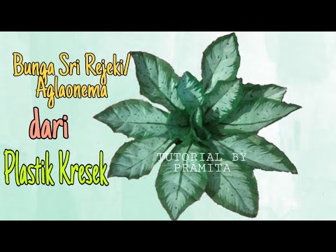 DIY Cara Membuat Bunga  Sri Rejeki Aglonema dari  plastik  