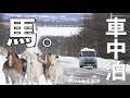 【車中泊】馬と飯と温泉な車中泊【軽バン】