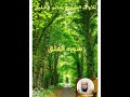 سورة الفلق بصوت الشيخ خالد الجليل سورة الفلق بصوت الشيخ خالد الجليل