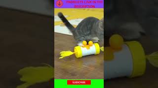 Cute Cat Playing Pet Toys Bottle Shape | Funny Animals | Viral Videos 20201 #shorts