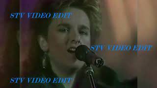 Melissa Etheridge   Like The Way I Do STV edit