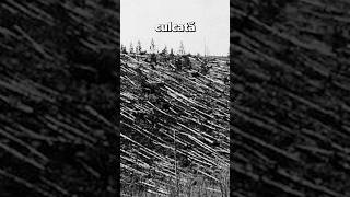 Misterul evenimentului Tunguska #curiozitati #real