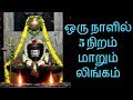 ஒரு நாளில்  5  நிறம் மாறும்  லிங்கம்- Siththarkal Manthiram- Sithar- sit...