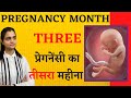3rd month of Pregnancy क्या होता है, क्या करना चाहिए, शिशु का विकास, क्या खाना चाहिए - Hindi Video