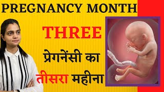 3rd month of Pregnancy क्या होता है, क्या करना चाहिए, शिशु का विकास, क्या खाना चाहिए - Hindi Video