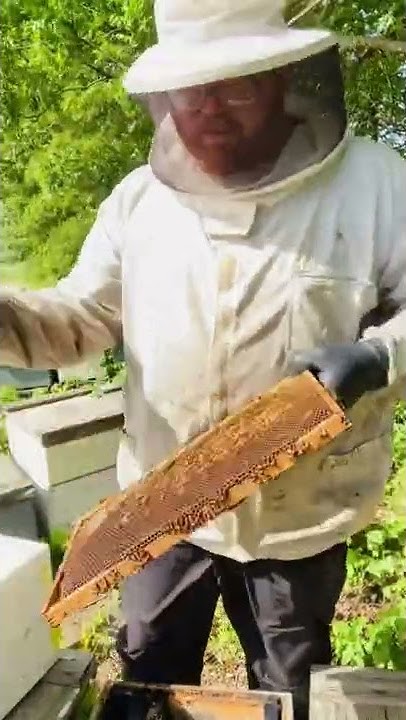 How To Fix Deformed Comb From Laying Workers YouTube how-to-fix-a-deformed-toenail-youtube